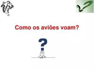 como os avi es voam