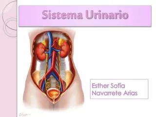 esther sof a navarrete arias
