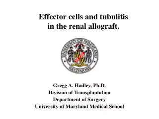 Gregg A. Hadley, Ph.D. Division of Transplantation Department of Surgery