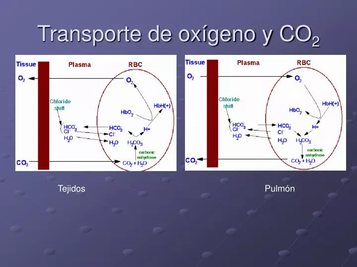 transporte de ox geno y co 2