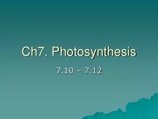 Ch7. Photosynthesis