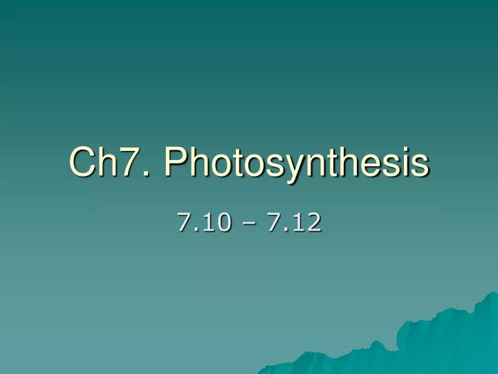 ch7 photosynthesis