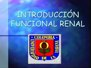 introducci n funcional renal