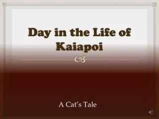 Day in the Life of Kaiapoi