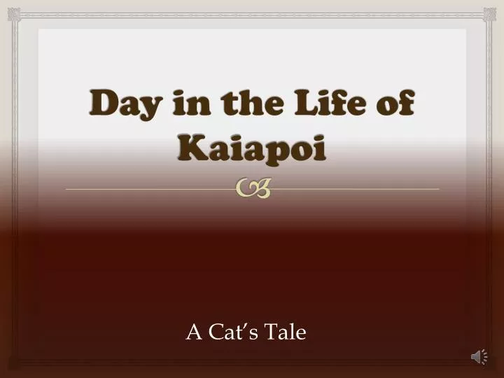 day in the life of kaiapoi