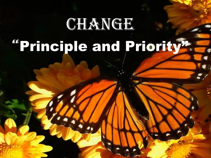 change principle and priority