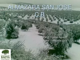 almazara san jose c b
