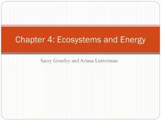 Chapter 4: Ecosystems and Energy