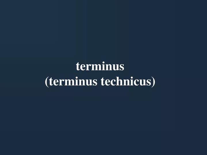 terminus terminus technicus