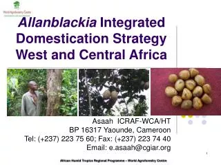 Allanblackia Integrated Domestication Strategy West and Central Africa
