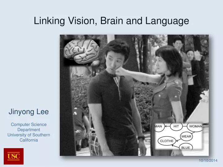 linking vision brain and language
