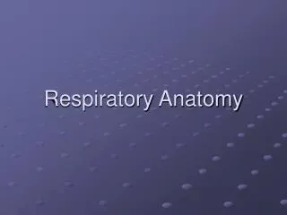 Respiratory Anatomy