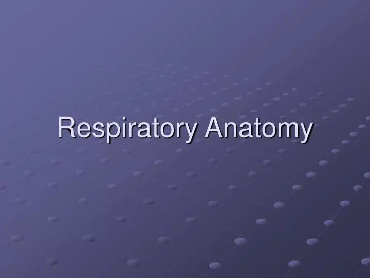 respiratory anatomy