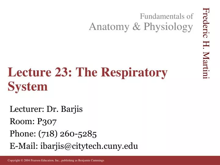 lecture 23 the respiratory system