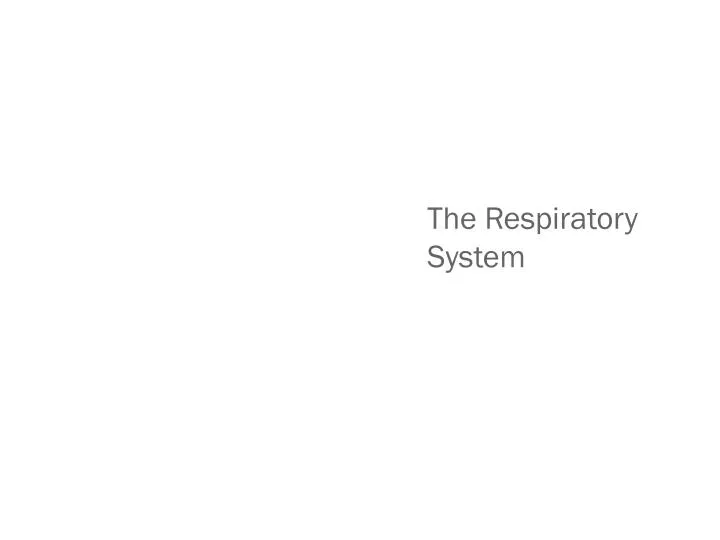 the respiratory system