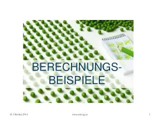 berechnungs beispiele