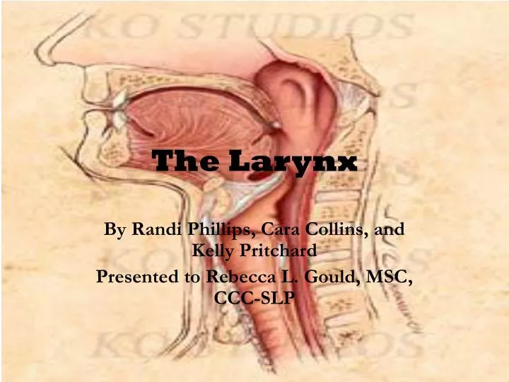 the larynx