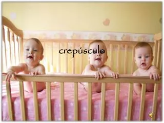crep sculo