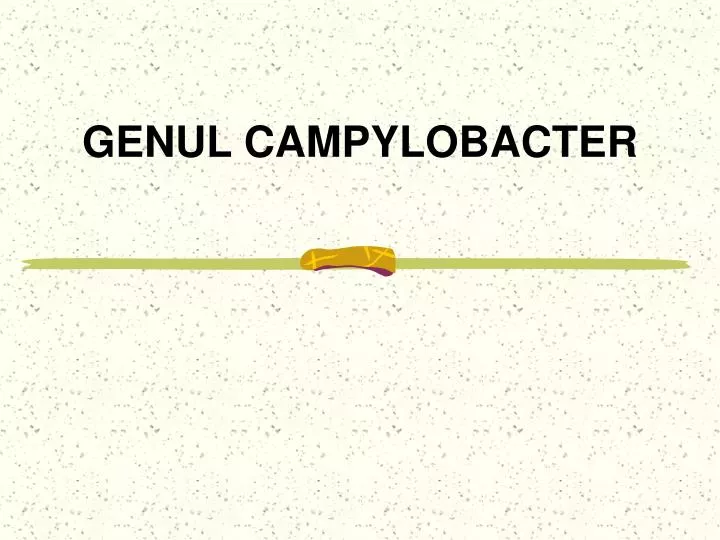 genul campylobacter