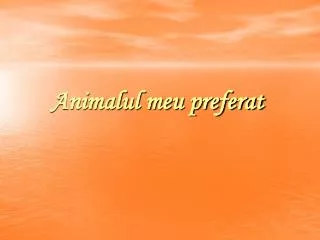 animalul meu preferat