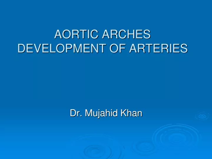 aortic arches development of arteries