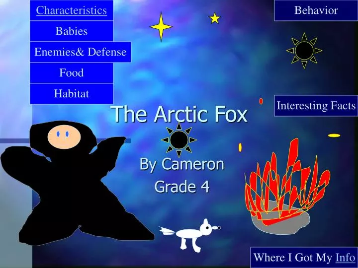 the arctic fox