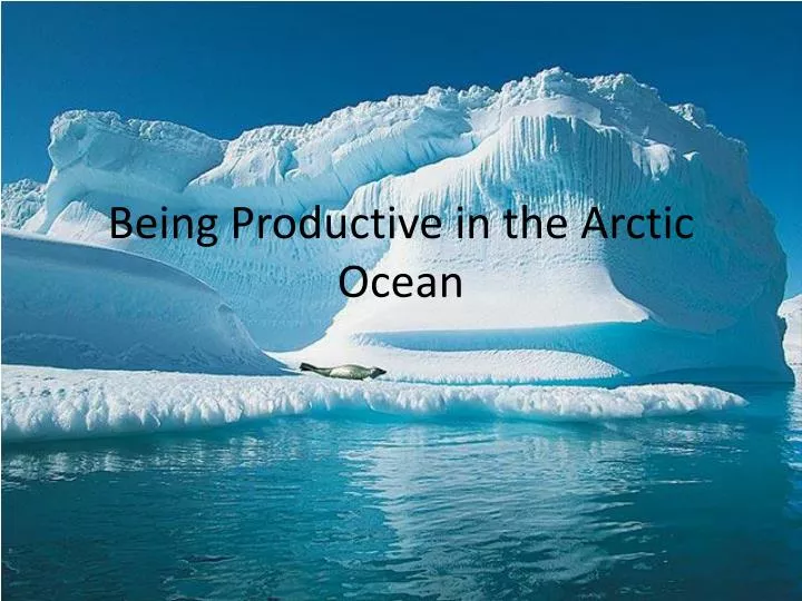 being productive in the arctic ocean
