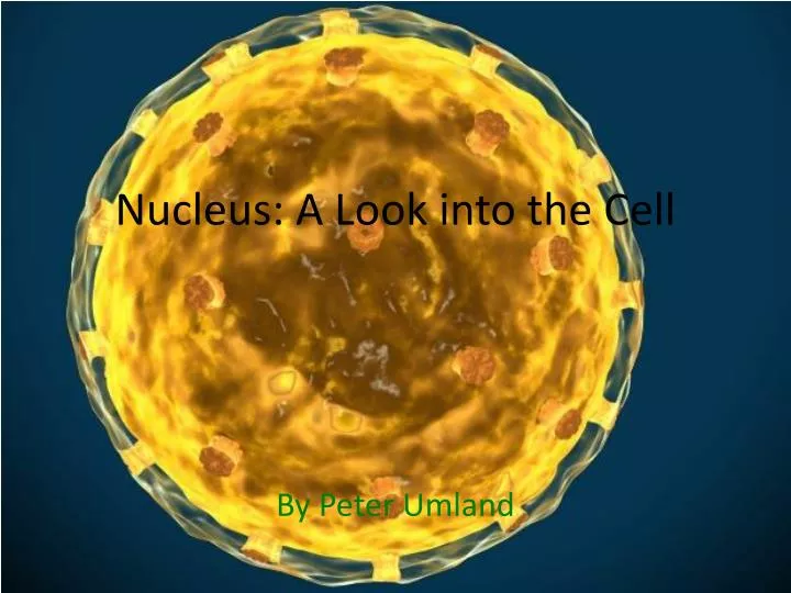nucleus a look into the cell