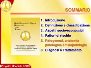 sommario