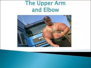 The Upper Arm and Elbow