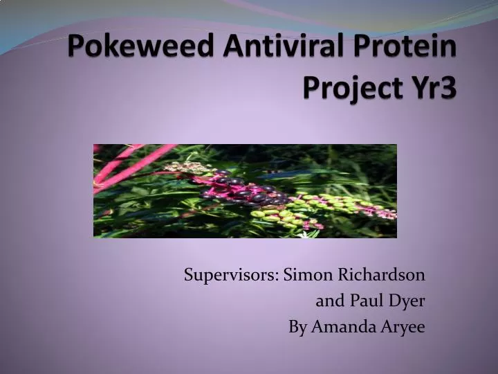 pokeweed antiviral protein project yr3