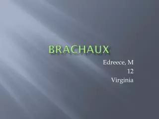 BRACHAux