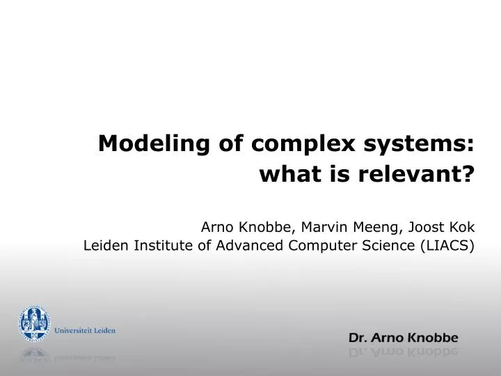 modeling of complex systems what is relevant